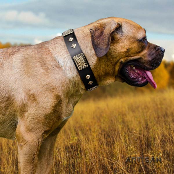 Cane Corso studded natural genuine leather collar with rust resistant hardware