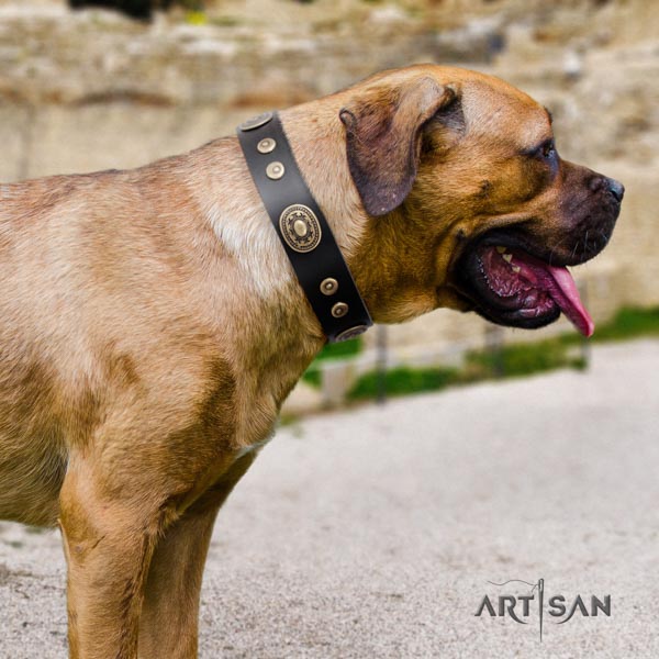 Cane Corso full grain genuine leather collar with corrosion proof traditional buckle