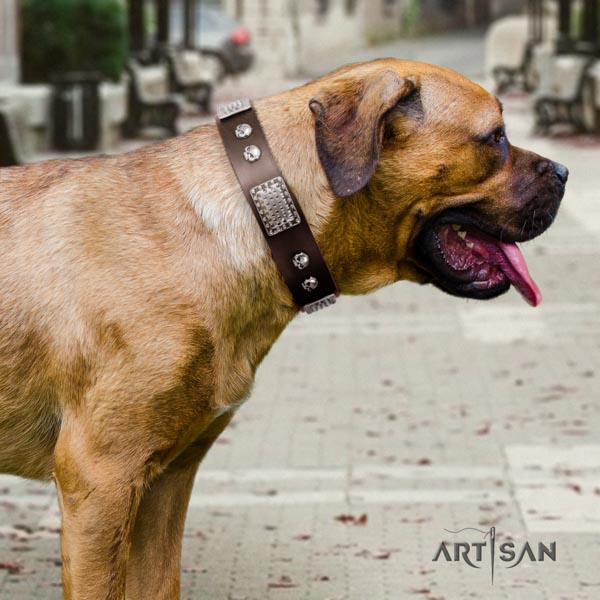 Cane Corso studded leather collar with reliable hardware