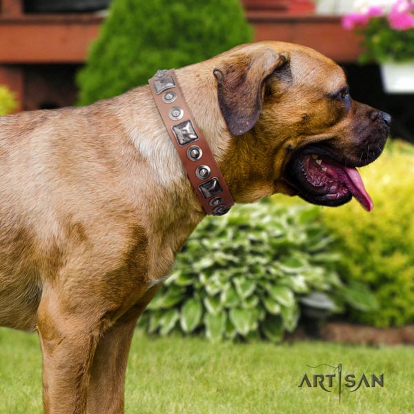 Cane Corso leather collar with rust resistant D-ring