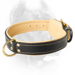 Handmade leather dog collar for Cane Corsos