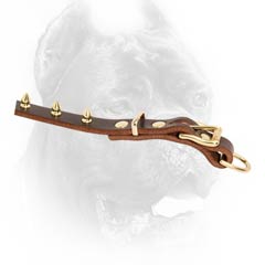 Properly sized leather dog collar