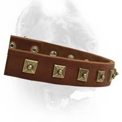 Great value leather buckle dog collar