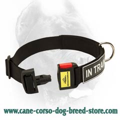 Easy adjustable dog collar made of nylon