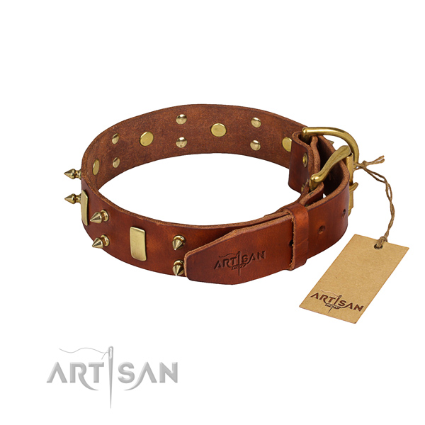 Sturdy leather dog collar with riveted elements