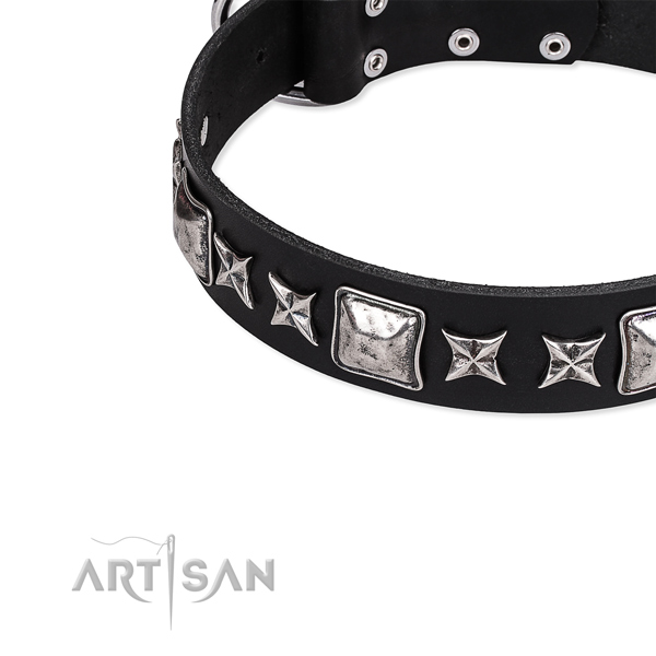 Full grain natural leather dog collar with extraordinary embellishments