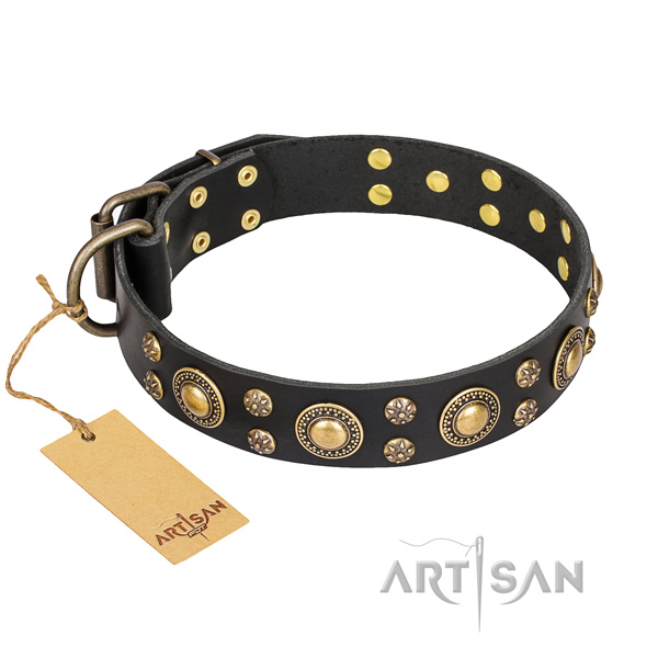 Extraordinary leather dog collar for daily use