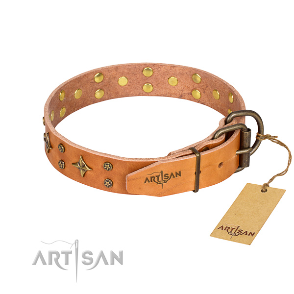 Everyday walking leather collar with adornments for your canine