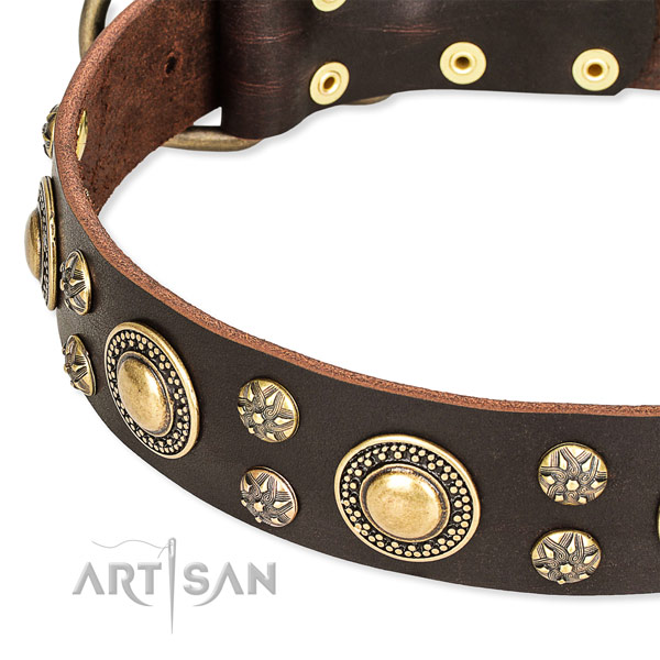 Walking leather collar with rust-proof buckle and D-ring