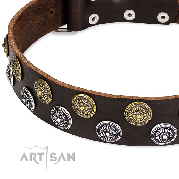 Genuine leather dog collar with top notch embellishments