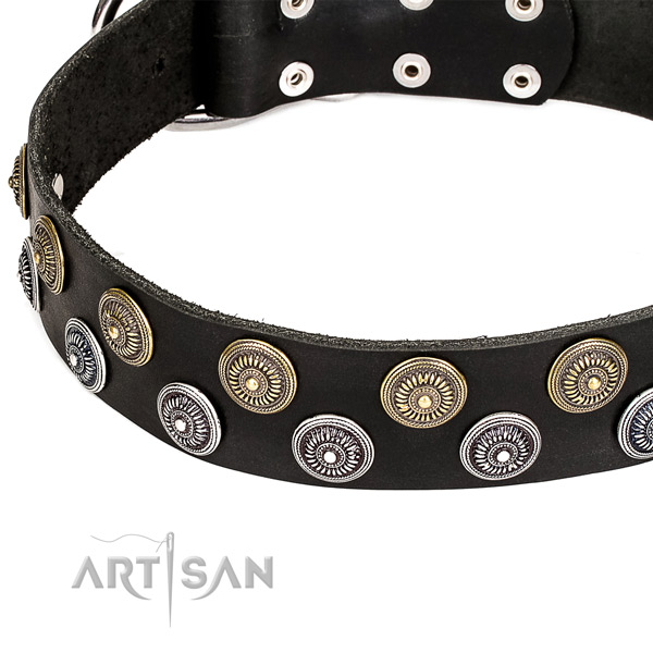 Natural genuine leather dog collar with exceptional decorations