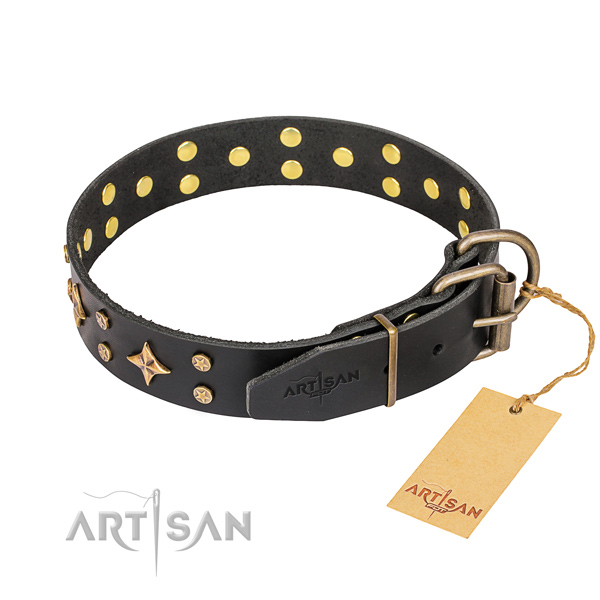Daily use genuine leather collar with adornments for your doggie
