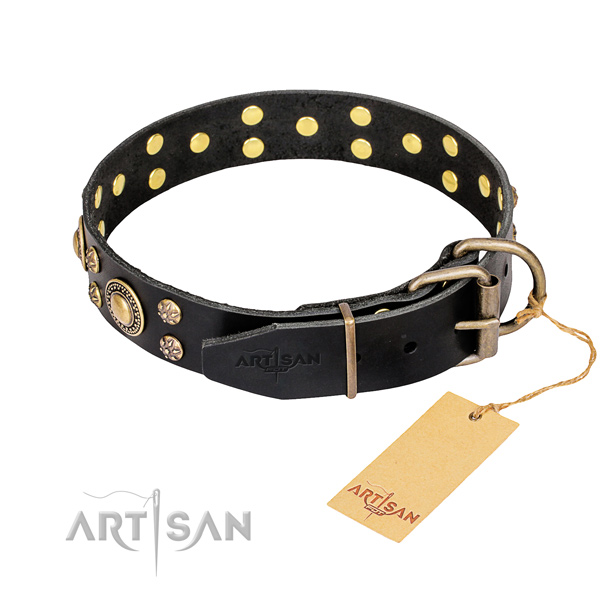 Everyday use full grain natural leather collar with adornments for your pet