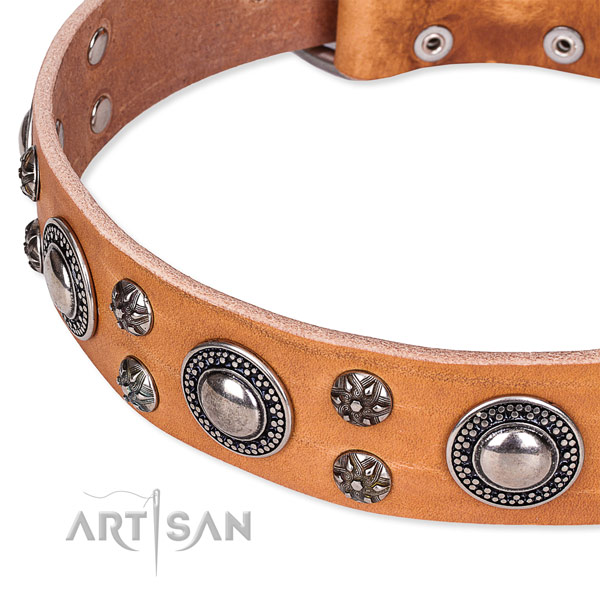 Everyday use full grain leather collar with rust resistant buckle and D-ring