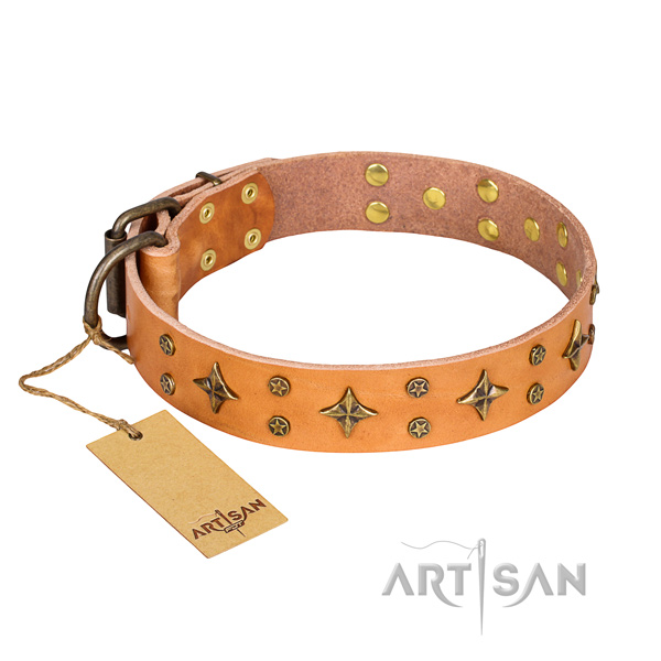 Inimitable full grain genuine leather dog collar for stylish walking