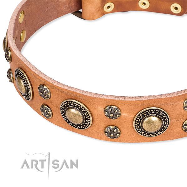 Leather dog collar with unusual embellishments