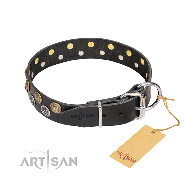Walking leather collar with embellishments for your pet
