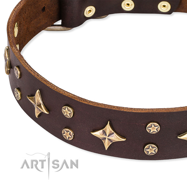 Full grain genuine leather dog collar with impressive embellishments