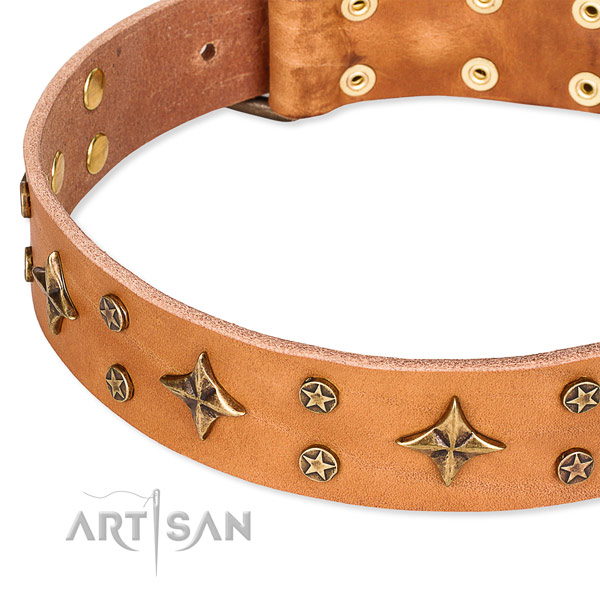 Full grain genuine leather dog collar with amazing adornments
