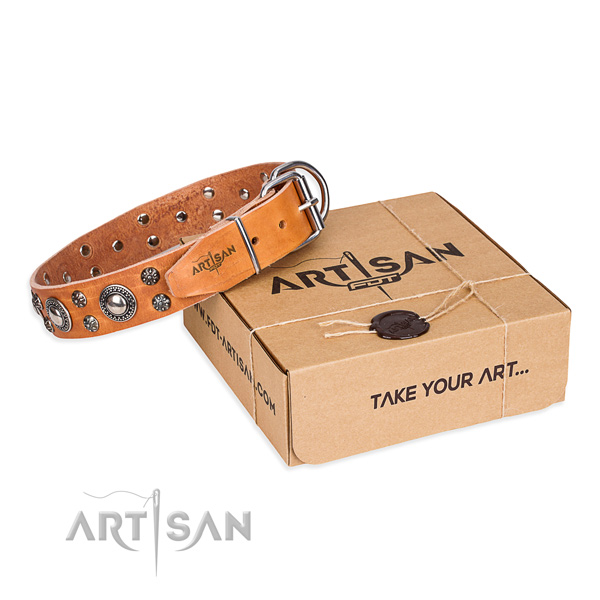 Trendy full grain leather dog collar for daily use