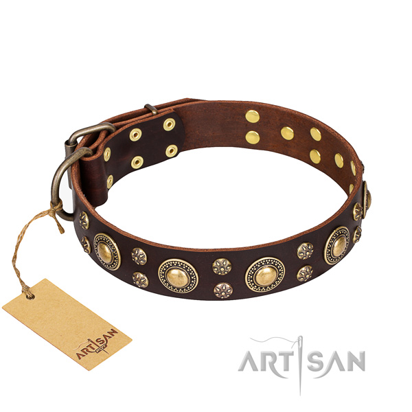 Top notch leather dog collar for daily use