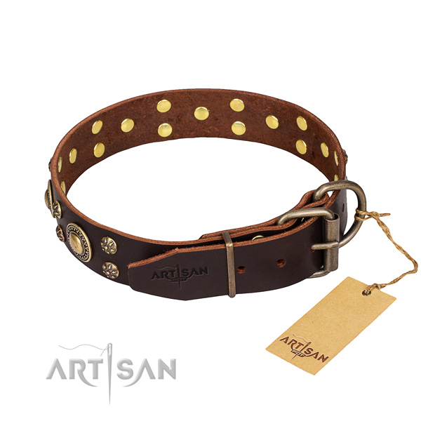 Daily walking full grain leather collar with decorations for your four-legged friend
