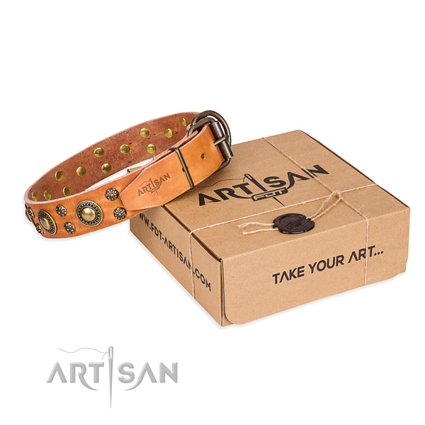 Natural genuine leather dog collar with studs for stylish walking