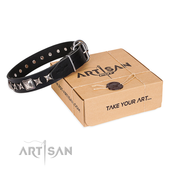 Adorned leather dog collar for daily use