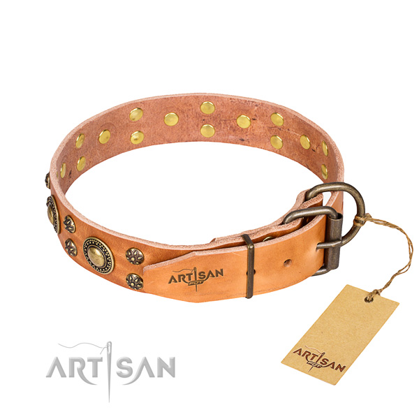 Walking full grain genuine leather collar with adornments for your four-legged friend