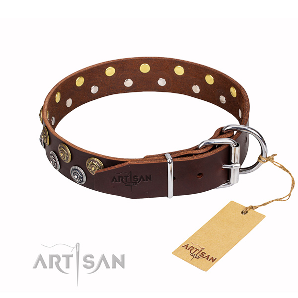 Everyday use full grain leather collar with adornments for your pet