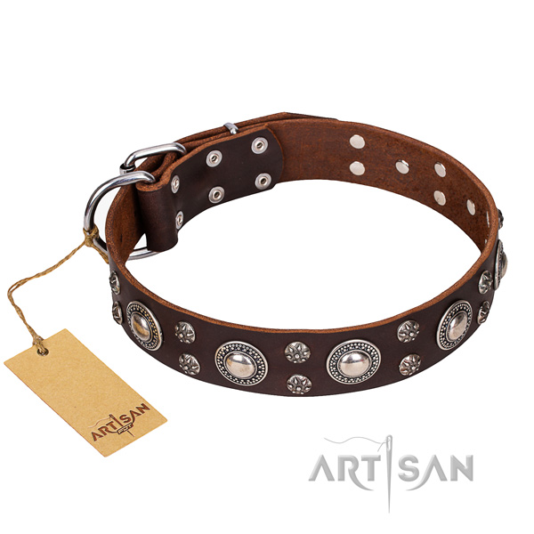 Indestructible leather dog collar with non-rusting details