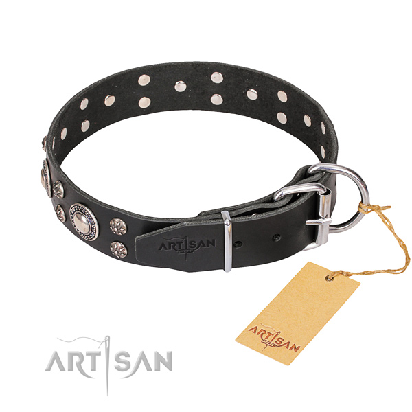 Natural leather dog collar with polished leather surface
