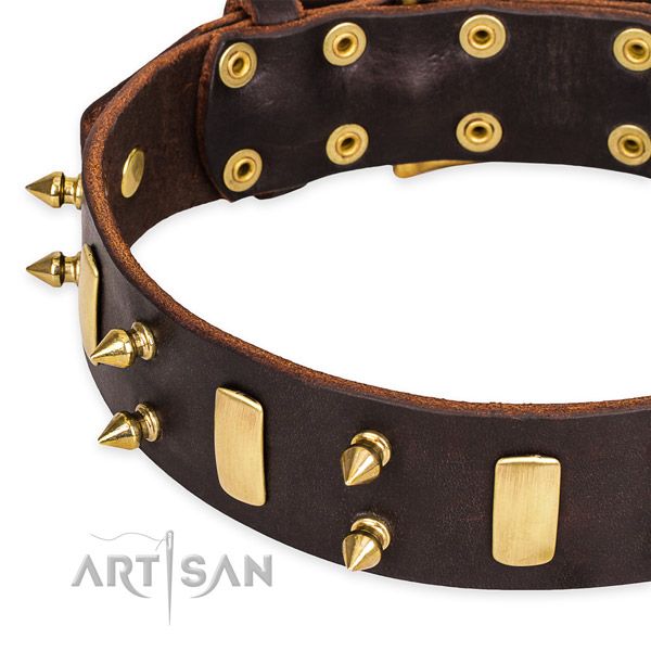 Easy to put on/off leather dog collar with resistant to tear and wear brass plated set of hardware