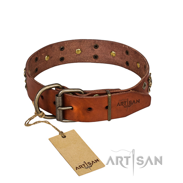 Leather dog collar with worked out edges for Cane Corso pleasant everyday outing