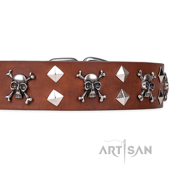 Everyday leather dog collar with amazing embellishments