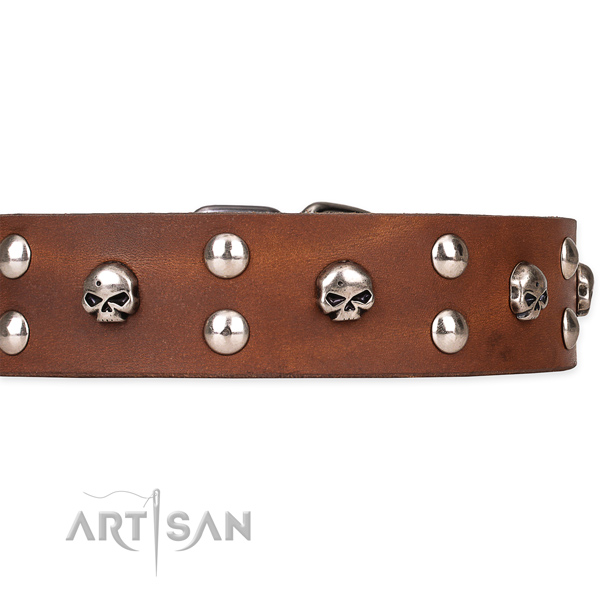 Genuine leather dog collar with polished leather surface