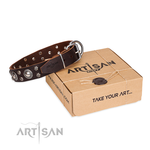 Casual style leather dog collar with fancy adornments