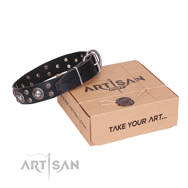 Casual leather dog collar with luxurious embellishments
