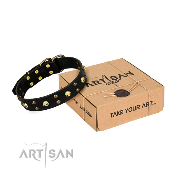 Casual style leather dog collar with amazing embellishments