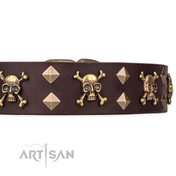 Daily leather dog collar for stylish walking