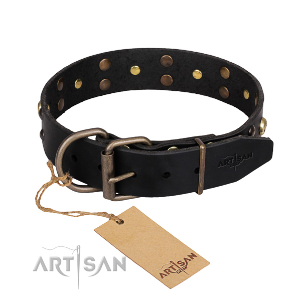 Heavy-duty leather dog collar with rust-resistant details