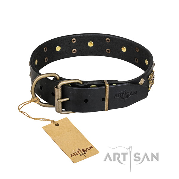 Long-lasting leather dog collar with riveted details