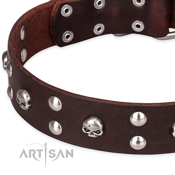 Casual leather dog collar with astounding decorations