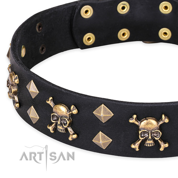 Casual style leather dog collar with fashionable embellishments