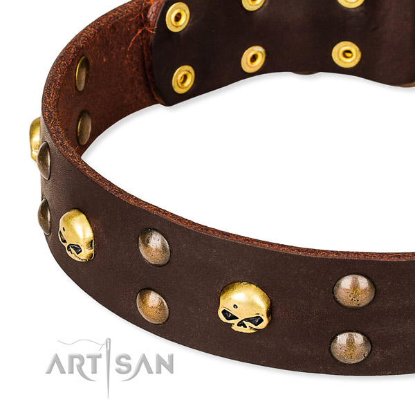 Everyday leather dog collar for walking