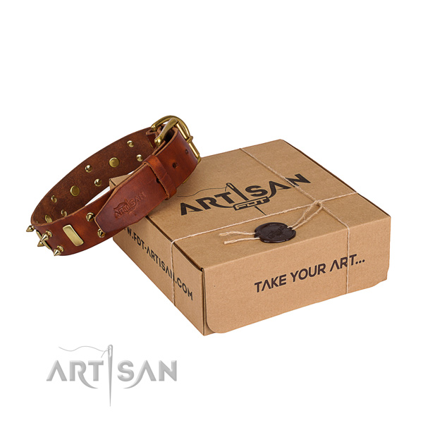 Daily leather dog collar with refined decorations