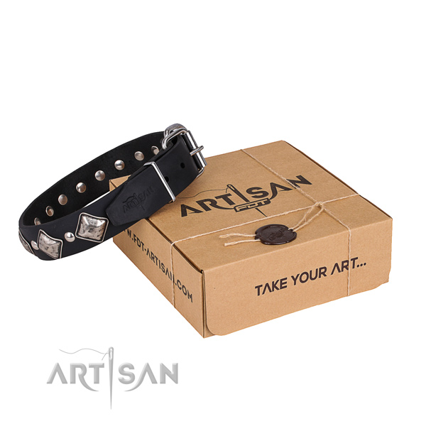 Casual leather dog collar with astounding adornments