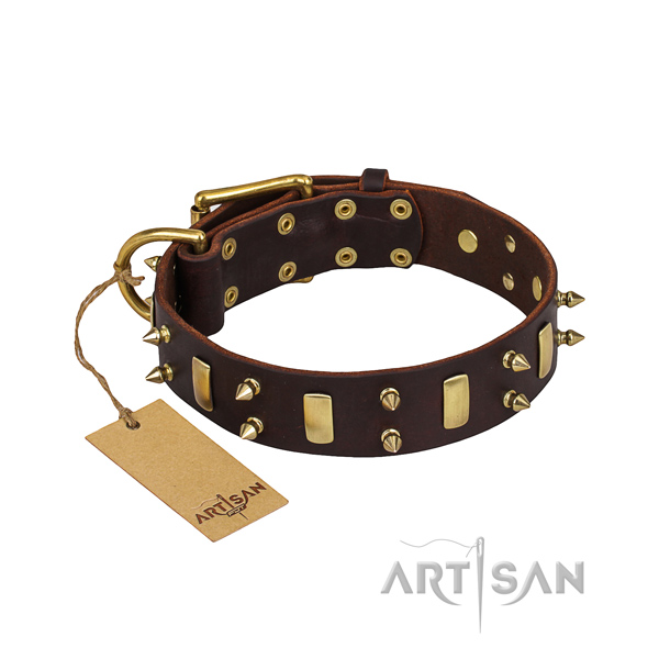 Genuine leather dog collar with polished finish