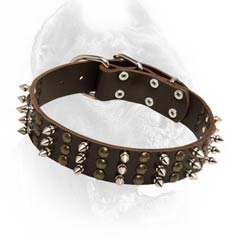 Spiked and studded leather dog collar
