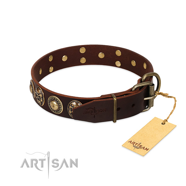 Stylish walking full grain genuine leather collar with embellishments for your canine